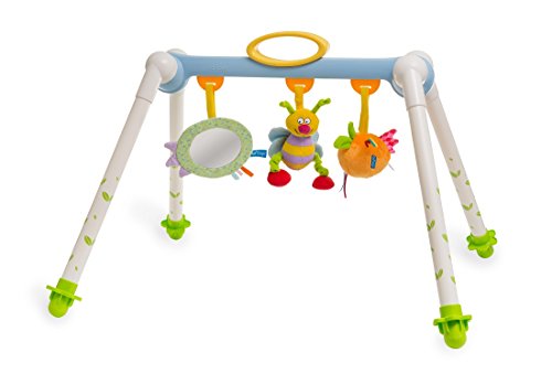 Taf Toys Take-To-Play Baby Gym | Babys All Time Entertainment, Baby Mirror, Detachable Toys, Foldable, Easy Storage And Mobility, No More Child Boredom, Easier Child Development And Parenting