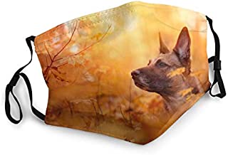 Face Masks for Adults Dust Belgian Shepherd Malinois Dog Muzzle Autumn Branches Leaves Washable Reusable Face Bandanas Indoor and Outdoor Activities