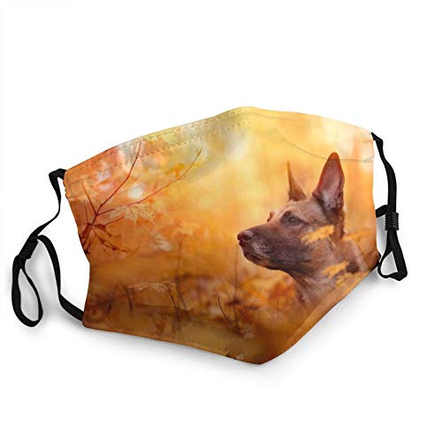 Face Masks for Adults Dust Belgian Shepherd Malinois Dog Muzzle Autumn Branches Leaves Washable Reusable Face Bandanas Indoor and Outdoor Activities