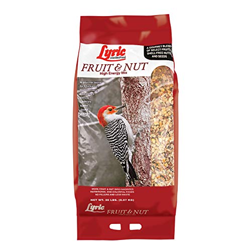 10 Best Bird Food For Winter