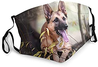 Face Masks for Adults Dust Belgian Shepherd Malinois Dog Muzzle Tongue Twigs Washable Reusable Face Bandanas Indoor and Outdoor Activities