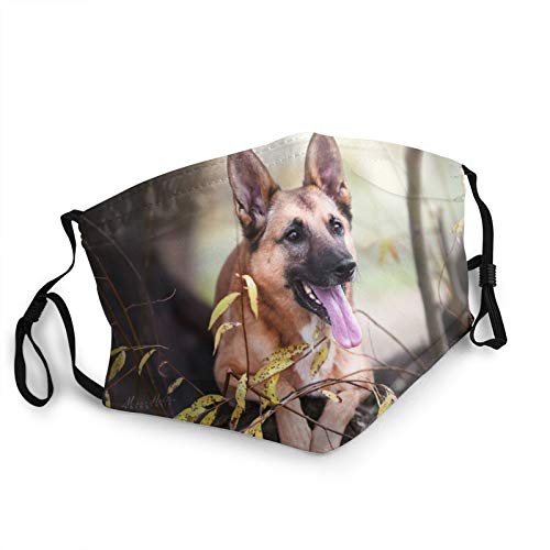 Face Masks for Adults Dust Belgian Shepherd Malinois Dog Muzzle Tongue Twigs Washable Reusable Face Bandanas Indoor and Outdoor Activities