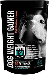 Weight Gain Supplement, Helps Recovery From Injury and Builds Muscle, Multi Benefit, Helps Maintain Healthy Joints, Conditions Skin and Coat. Sweet Bacon Flavor Powder, 1.75 pounds, Made In The USA