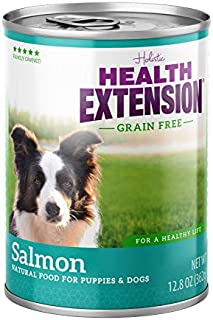 Health Extension Grain Free Salmon Entree Canned Wet Dog Food - (12) 12.8 Oz Cans