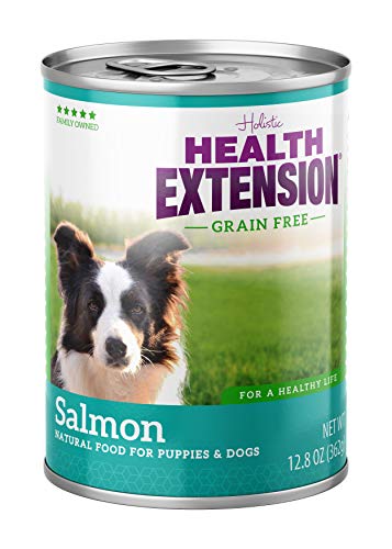 Health Extension Grain Free Salmon Entree Canned Wet Dog Food - (12) 12.8 Oz Cans