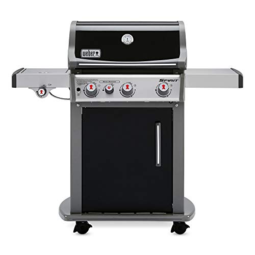 10 Best Grills Under 800