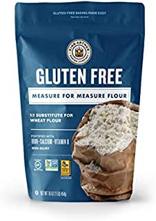 King Arthur, Measure for Measure Flour, Certified Gluten-Free, Non-GMO Project Verified, Certified Kosher, Non-Dairy, 1 Pound (Packaging May Vary)