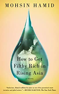 How to Get Filthy Rich in Rising Asia: A Novel