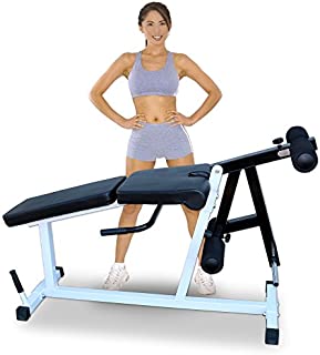 Deltech Fitness Leg Extension/Leg Curl Machine