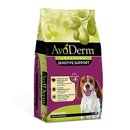 10 Best Grain Free Dog Food For Skin Allergies AskDeb