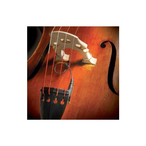 The Realist RLSTSWB1Orchestral Bass Transducer w/ Wood Element