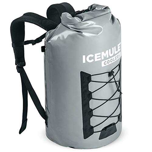 10 Best Backpack Cooler For Ice