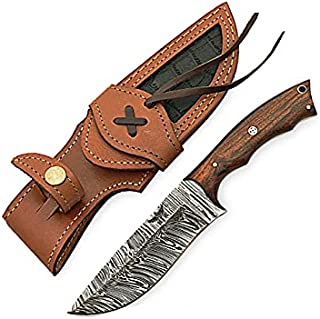 HOMETOWN KNIVES Damascus Knife for Hunting - Fixed Blade Hunting Knife with Sheath - Damascus Steel Knife with Rose Wood Handle - 9.5 Inches Handmade Camping Knife.