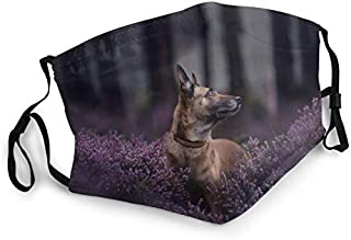 Face Masks for Adults Dust Belgian Shepherd Malinois Dog Muzzle Heather Forest Bokeh Washable Reusable Face Bandanas Indoor and Outdoor Activities