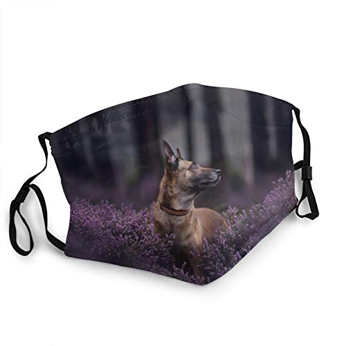 Face Masks for Adults Dust Belgian Shepherd Malinois Dog Muzzle Heather Forest Bokeh Washable Reusable Face Bandanas Indoor and Outdoor Activities