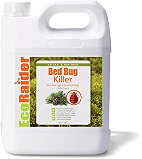 EcoRaider Bed Bug Killer Spray Jug, Green + Non-toxic, 100% Kill + Extended Protection, 128 Fl Oz (Pack of 1)