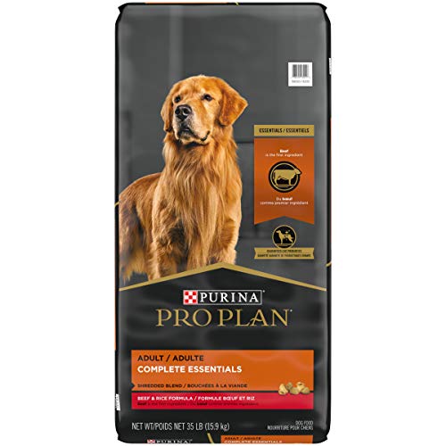 9 Best Grain Free Probiotics For Dogs