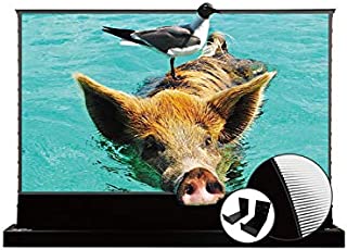 VIVIDSTORM-Screen for Cinema 120 Inch S PRO Motorized Floor Rising Screen Ambient Light Rejecting Screen Home Movie Suitable UST Laser Projector with Wall Brackets,VSDSTUST120H-WB