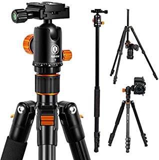 TARION Camera Tripod Monopod 61in with Panorama Ball Head Aluminium Travel Tripod for DSLR Mirrorless Cameras Support Macro Shots Counter Weight 13lb Payload Lightweight 16.9