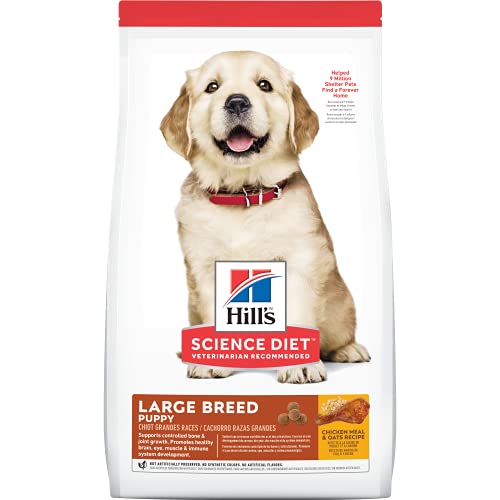 Hill's Science Diet Dry Dog Food, Puppy, Large Breed, Chicken Meal and Oats Recipe, 15.5 lb. Bag