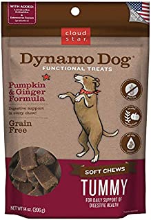 Cloud Star Dynamo Dog Tummy Treats  Soft & Chewy Probiotics Support for Dogs (14 oz. Pumpkin and Ginger) (20212)