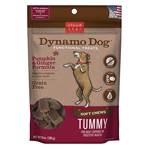 Cloud Star Dynamo Dog Tummy Treats  Soft & Chewy Probiotics Support for Dogs (14 oz. Pumpkin and Ginger) (20212)