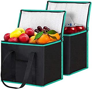 WiseLife Insulated Reusable Shopping Bags Grocery Bags [2 Pack] with Handles,Heavy Duty Produce Bags Food Delivery Bags Cooler Bags w/Zippered Top for Groceries,Food Transport,Travel,Picnic,Camping-GR