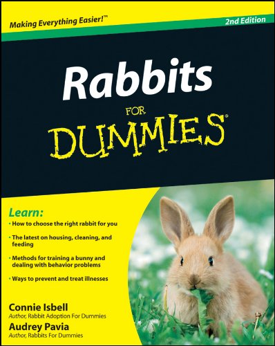10 Best Rabbit Hutch In The World