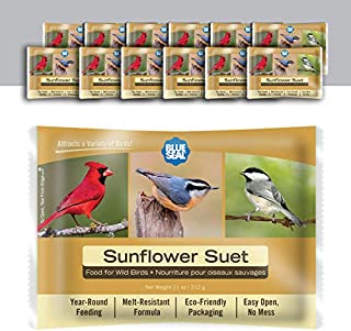 11oz Year Round Premium Sunflower Bird Suet Cake 12pk