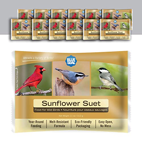 11oz Year Round Premium Sunflower Bird Suet Cake 12pk