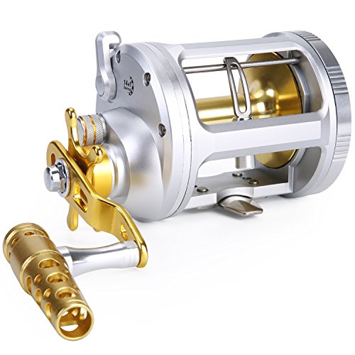 One Bass Fishing Reels Level Wind Trolling Reel Conventional Jigging Reel for Saltwater Big Game Fishing-(TA3000 Silver-Gold-Right Handed)