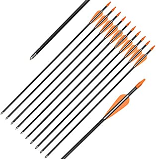 Elong Fiberglass Arrows Archery 24 Inch Target Shooting Practice Safetyglass Recurve Bows Suitable for Youth Children Woman Beginner (12 pcs)