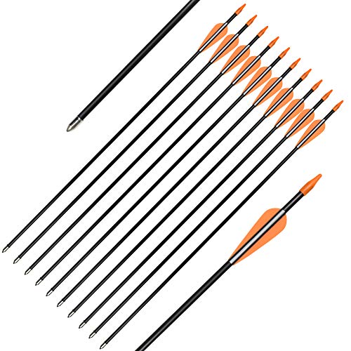 Elong Fiberglass Arrows Archery 24 Inch Target Shooting Practice Safetyglass Recurve Bows Suitable for Youth Children Woman Beginner (12 pcs)