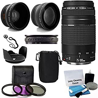 Canon EF 75-300mm f/4-5.6 III Telephoto Zoom Lens with 2X Telephoto Lens, HD Wide Angle Lens and Accessories (8 Piece Kit)