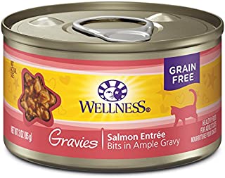 Wellness Complete Health Gravies Grain Free Canned Cat Food, Salmon Entree, 3.3 Ounces (Pack of 12)