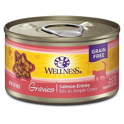 Wellness Complete Health Gravies Grain Free Canned Cat Food, Salmon Entree, 3.3 Ounces (Pack of 12)