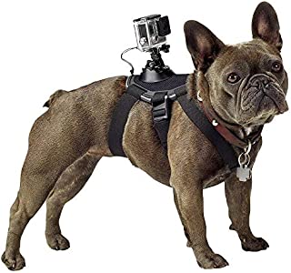 GoPro Fetch Dog Harness - Official GoPro Mount