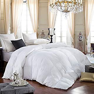 Luxurious Queen Size Siberian Goose Down Comforter, 600 Thread Count 100% Egyptian Cotton Cover, Solid White Color, Hypoallergenic, 60 Oz Fill Weight, All Season Down Comforter