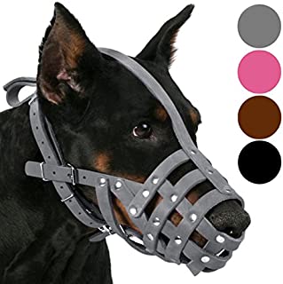 CollarDirect Leather Dog Muzzle Doberman German Shepherd Dalmatian Setter Basket Medium Large Breeds Pink Gray (L, Black)