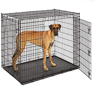 Midwest SL54DD Ginormus Double Door Dog Crate for XXL for the Largest Dogs Breeds, Great Dane, Mastiff, St. Bernard