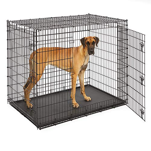 Midwest SL54DD Ginormus Double Door Dog Crate for XXL for the Largest Dogs Breeds, Great Dane, Mastiff, St. Bernard