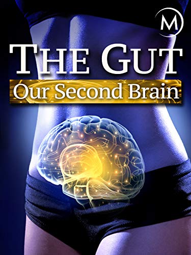 The Gut: Our Second Brain