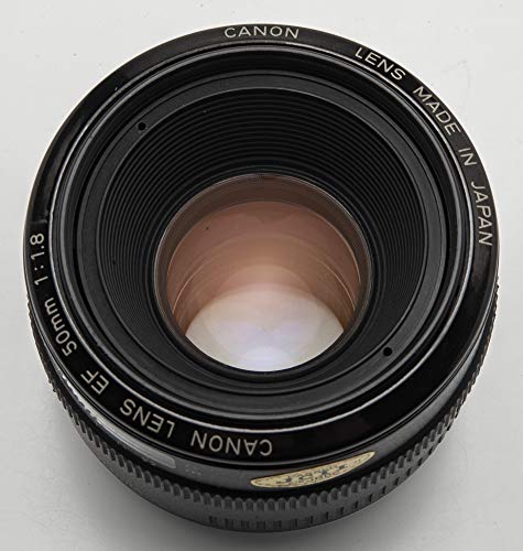 10 Best Canon Fd Lenses Ever