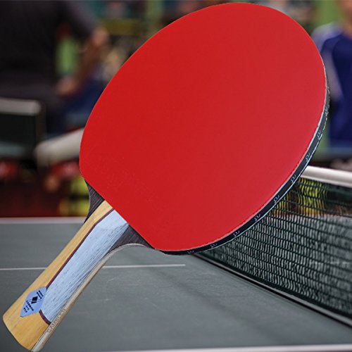 Gambler Custom Professional Table Tennis Paddle with Wingwood IM8 Carbon Blade and Big Gun Rubber Plus Case