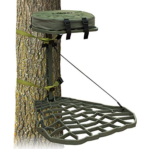 10 Best Tree For Deer Stand