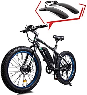 ECOTRIC Powerful Electric Bicycle 26