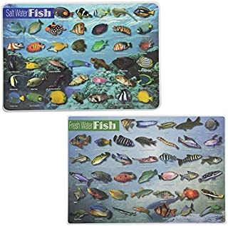 Painless Learning Educational Placemats for Kids Fresh Water Fish and Salt Water Fish [Set of 2]