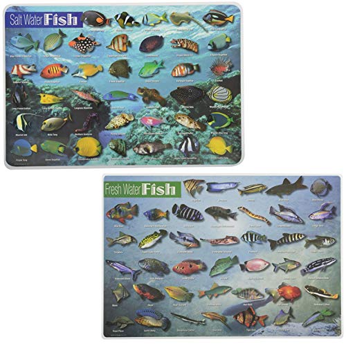 Painless Learning Educational Placemats for Kids Fresh Water Fish and Salt Water Fish [Set of 2]