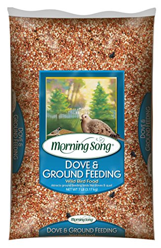 Morning Song 11974 Dove and Ground Feeding Wild Bird Food, 7-Pound