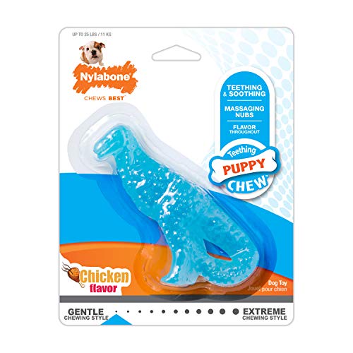 Nylabone Puppy Dental Dinosaur Chew Toy for Teething Puppies Chicken Flavor Small/Regular - Up to 25 lbs.